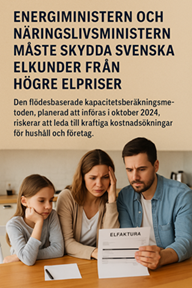 Assistans-kriminalitet